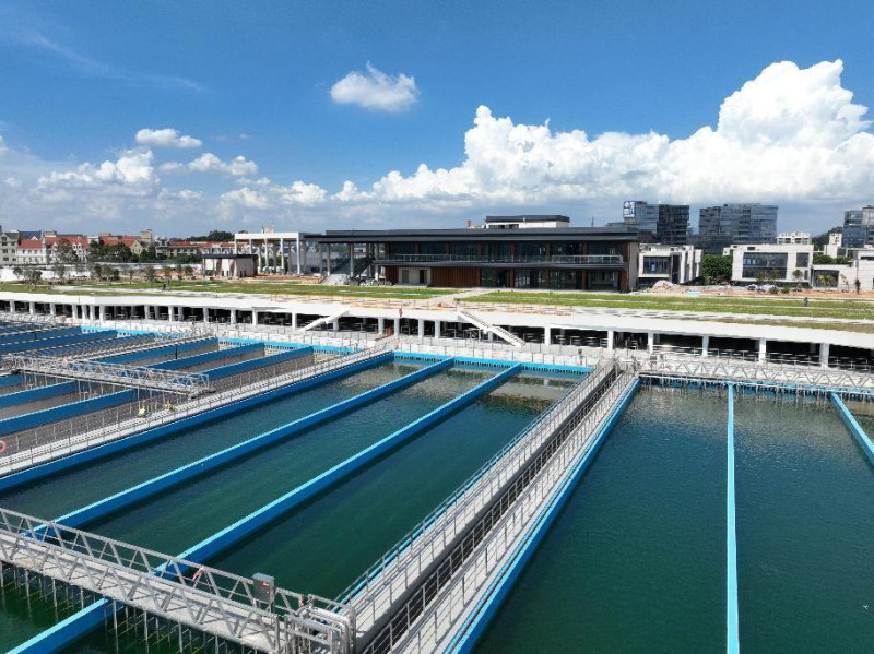 东莞17吃瓜
：三线并进勇担经济责任，以“水力量”深耕“百千万工程”   